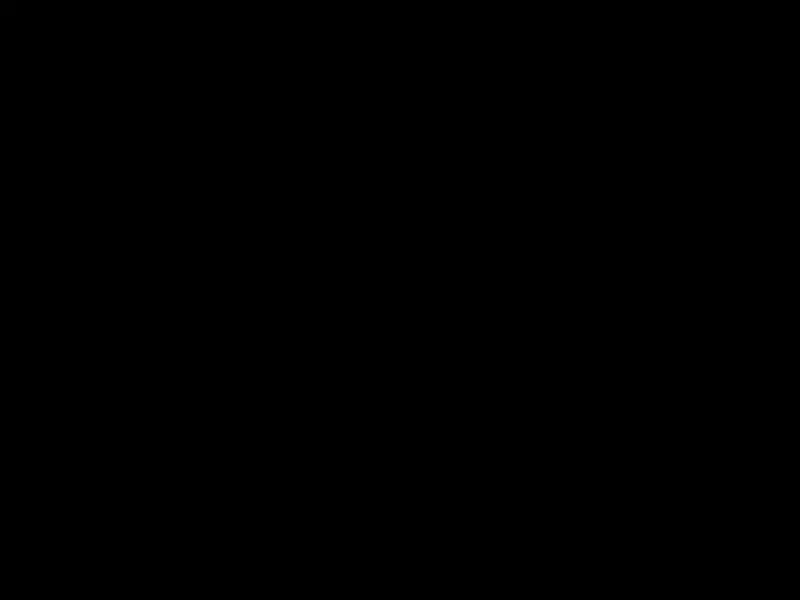 电锯人 第二季